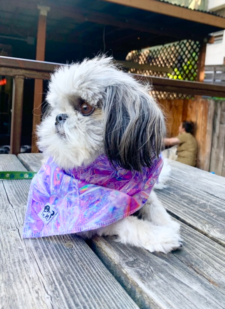 Breaker of Ice Bandana (Pets)